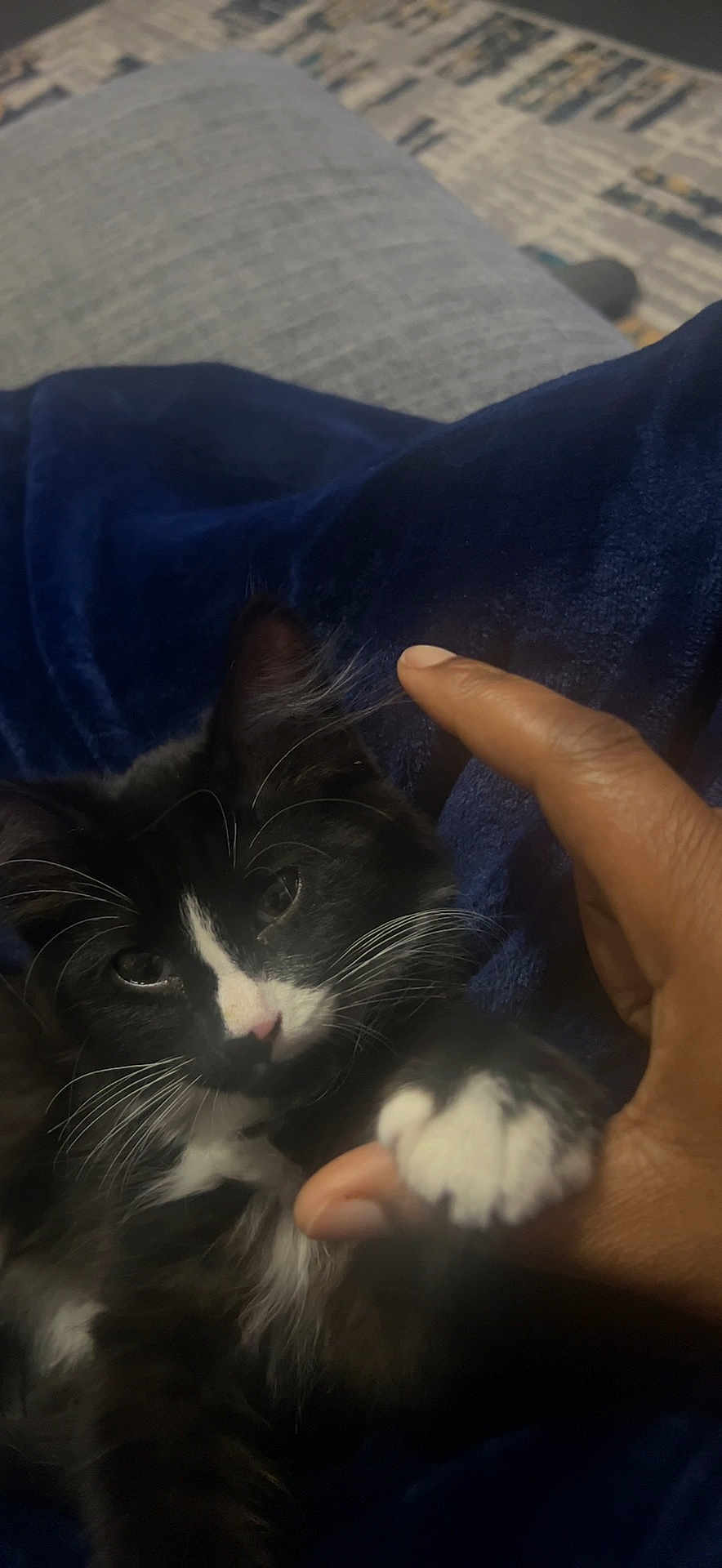 Jinx