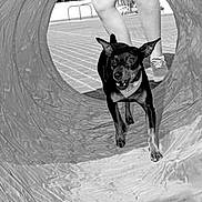 Tina participe au concours pour gagner de l'argent avec cette photo :