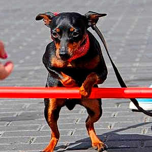 Tina participe au concours pour gagner de l'argent avec cette photo :