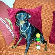 Lili a rejoint le concours — aidez-le/la à gagner de superbes lots !