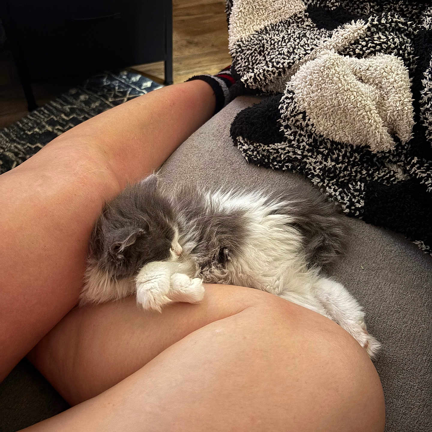 Fergie