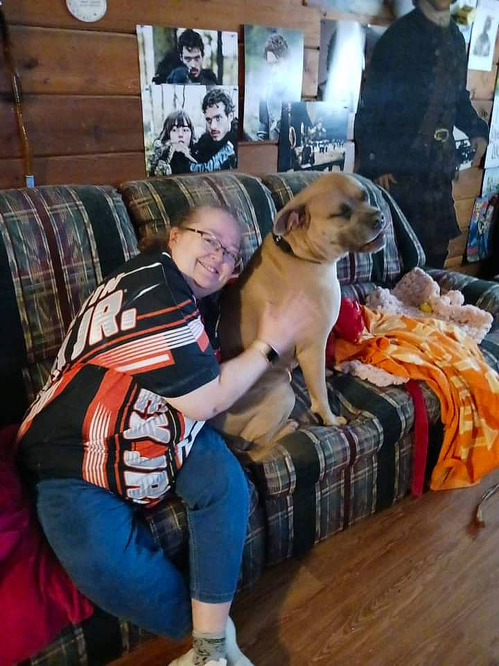 Bowzer is registered to the contest to win money with this photo: canidae, carnivore, comfort, companion_dog, conformation_show, couch, dog, dog_breed, event, fawn, fur, guard_dog, lap, leash, luggage_and_bags, picture_frame, room, sitting, sporting_group, toy_dog