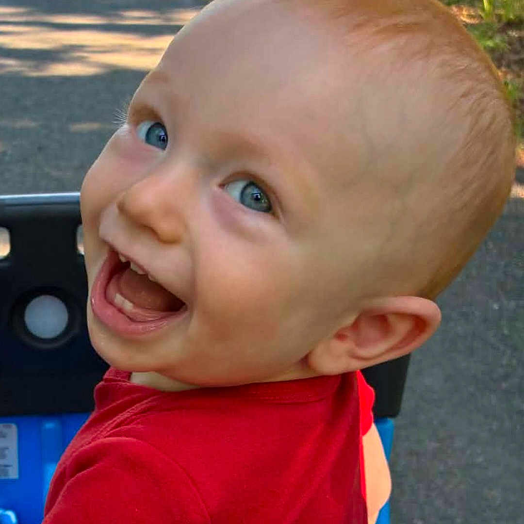 Ledger is registered to the contest to win money with this photo: baby, child, toddler, smiling, laughing, portrait, face, blue_eyes, red_shirt, stroller, outdoor, park, path, grass, dog, sunlight, happy, close_up, infant, photography