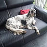 Eiko participe au concours pour gagner de l'argent avec cette photo :