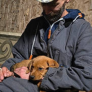 Ozzy Moses Dockery is registered to the contest to win money with this photo: animal, beard, brown, camouflage, casual, cozy, dog, hand, hat, indoor, jacket, man, pet, portrait, puppy, resting, rustic, seated, warm, wood