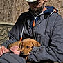 animal, beard, brown, camouflage, casual, cozy, dog, hand, hat, indoor, jacket, man, pet, portrait, puppy, resting, rustic, seated, warm, wood