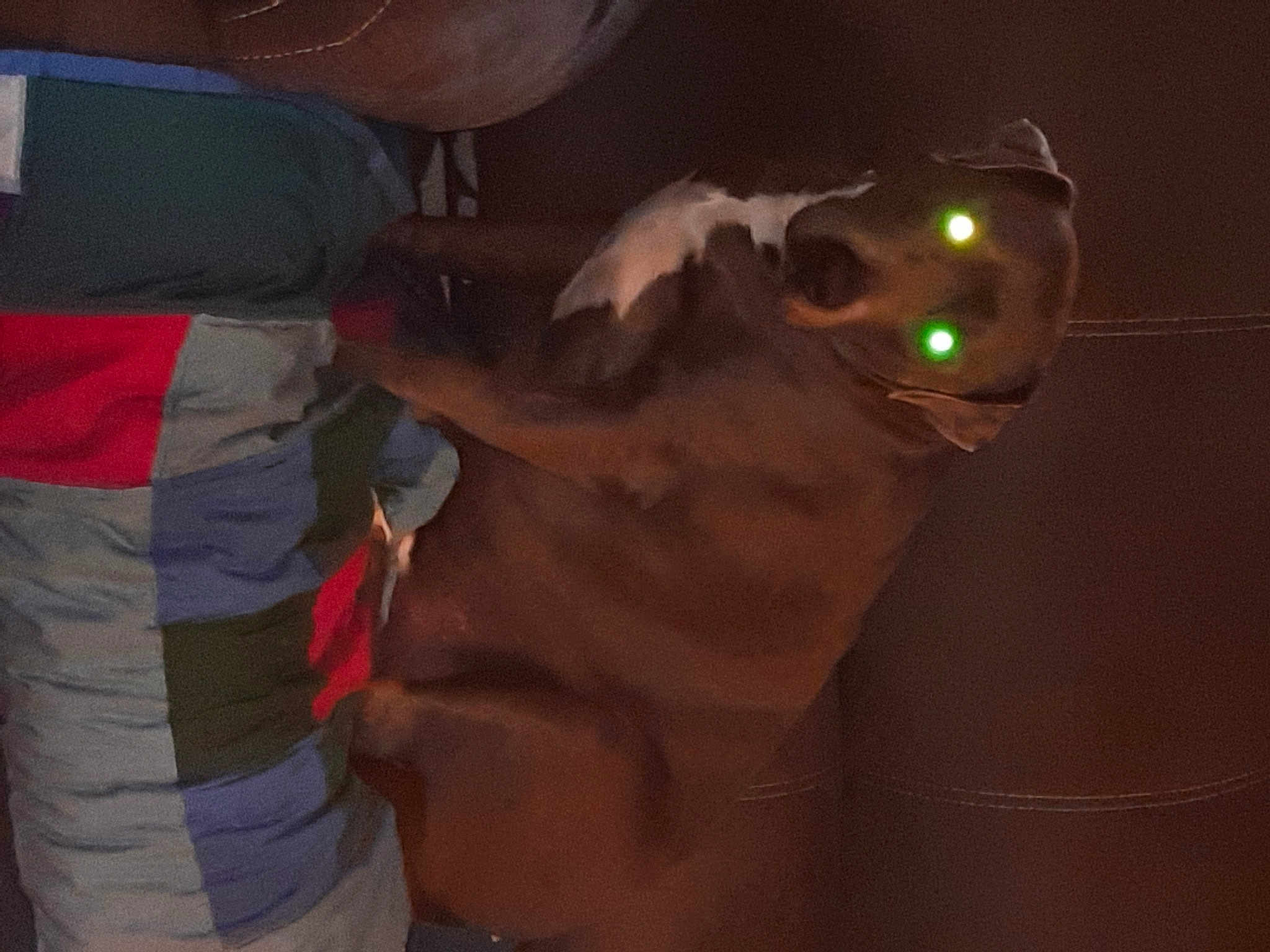 Ranger joined the competition — help win amazing prizes! abdomen, barechested, chest, darkness, elbow, event, eyewear, flesh, fun, gesture, headgear, jaw, navel, night, personal_protective_equipment, room, trunk, vision_care, visual_arts, wrist