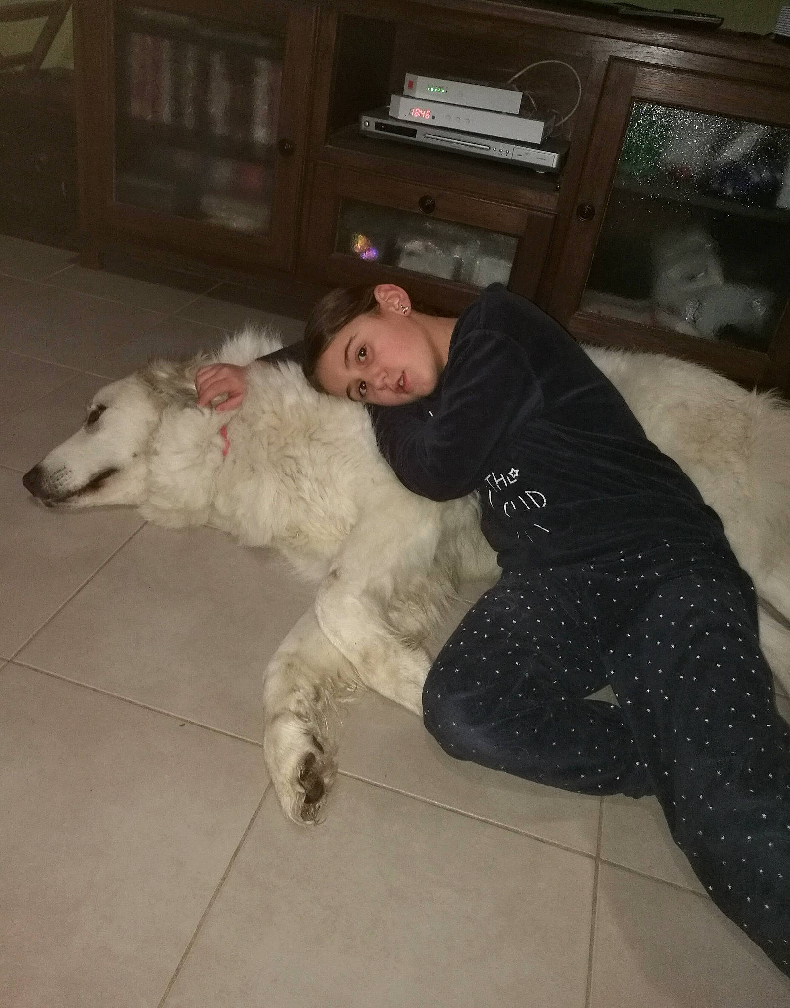 Gaufrette a rejoint le concours — aidez-le/la à gagner de superbes lots ! carnivoran, dog, dog_breed, dog_breed_group, dog_like_mammal, fur, great_pyrenees, kuvasz, non_sporting_group, person, sporting_group, vertebrate