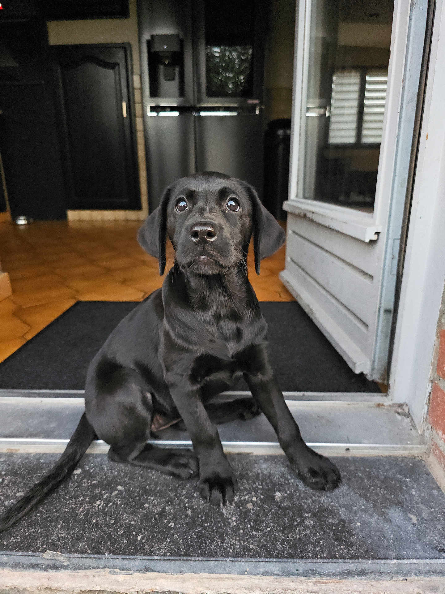 Ava
