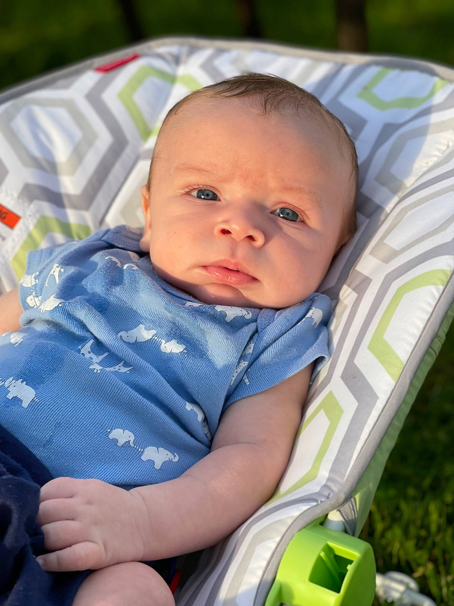 Tucoma Jr is registered to the contest to win money with this photo: arm, baby, baby_carriage, baby_products, baby_toddler_clothing, cheek, child, comfort, fun, grass, happy, iris, leisure, person, photography, portrait_photography, product, sitting, skin, toddler