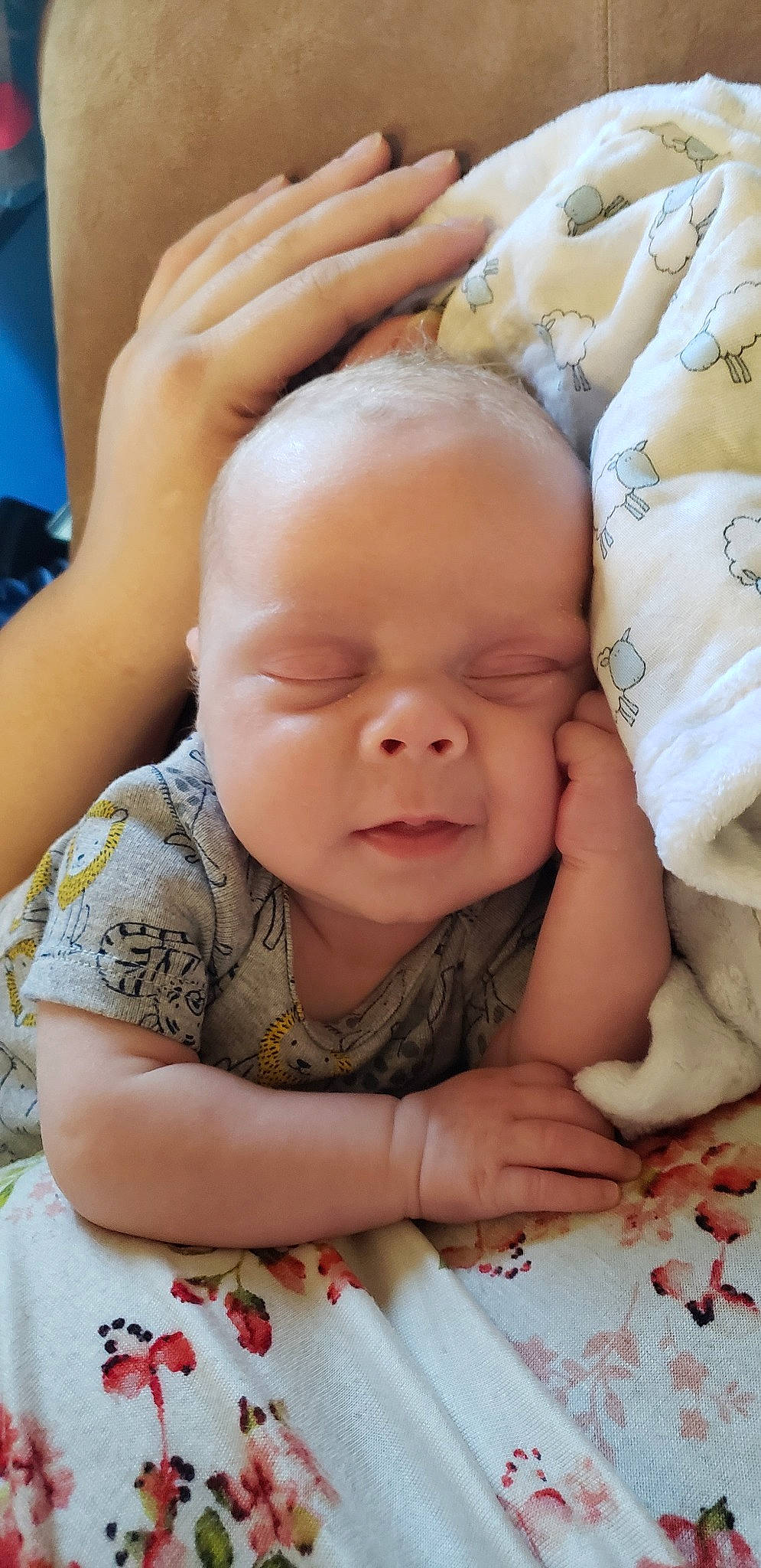 Bodhi is registered to the contest to win money with this photo: baby, cheek, child, face, forehead, hand, head, mouth, nose, person, skin, toddler