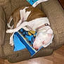 Brandi Bass is registered to the contest to win money with this photo: dog, sleeping, brown, white, chair, blanket, indoor, pet, cushion, floor, collar, resting, cozy, fur, canine, home, relaxing, animal, domestic, portrait