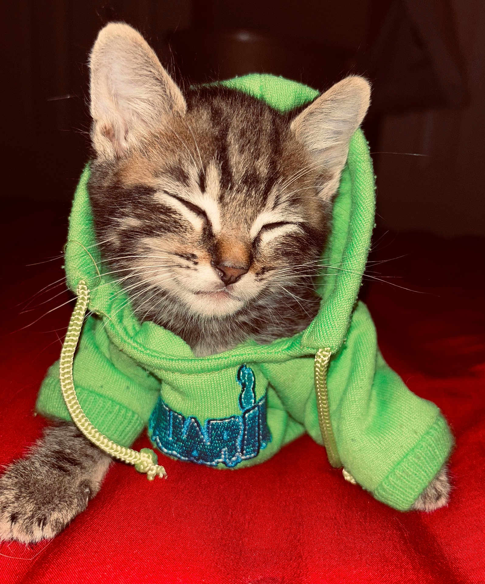Ollie