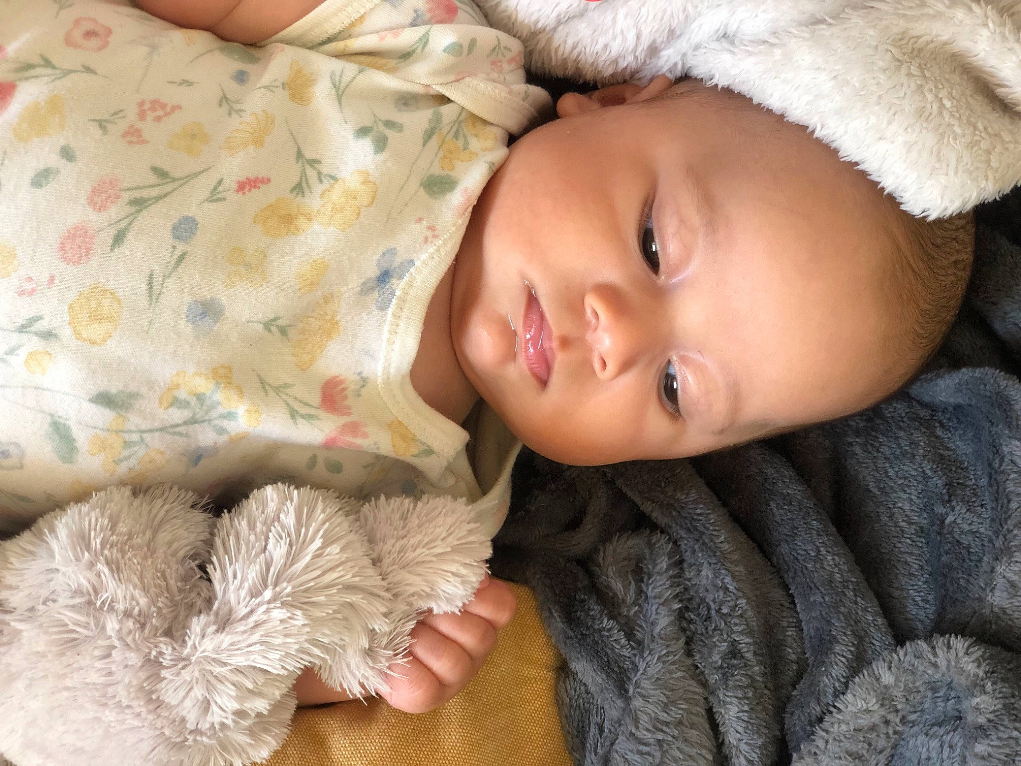 Lesya a rejoint le concours — aidez-le/la à gagner de superbes lots ! baby, baby_toddler_clothing, cheek, child, comfort, eyelash, fur, grass, linens, nose, outerwear, pattern, person, skin, sleeve, textile, toddler, toy, tree, wood