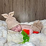 baby, blanket, bunny_ears, carrot_toy, child, cozy, cute, fabric, handmade, infant, knitted_hat, newborn, portrait, resting, sleeping, soft, toddler, warm, wooden_background, yarn