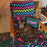Yoda participe au concours pour gagner de l'argent avec cette photo : armchair, blanket, carpet, cat, colorful, cyber_pillow, indoor, neon, pet, pixel_pillow, poster, remote_control, splatter_pattern, surprised_expression, tabby_cat, telephone, tile_floor, wall_art, wooden_armrest, zigzag_pattern
