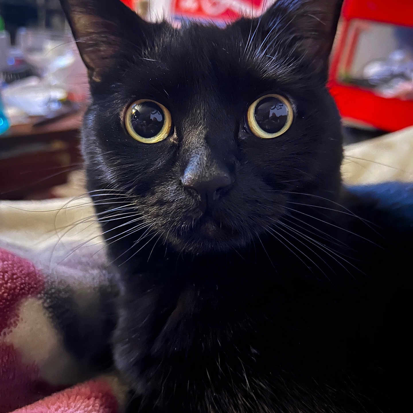 Riley