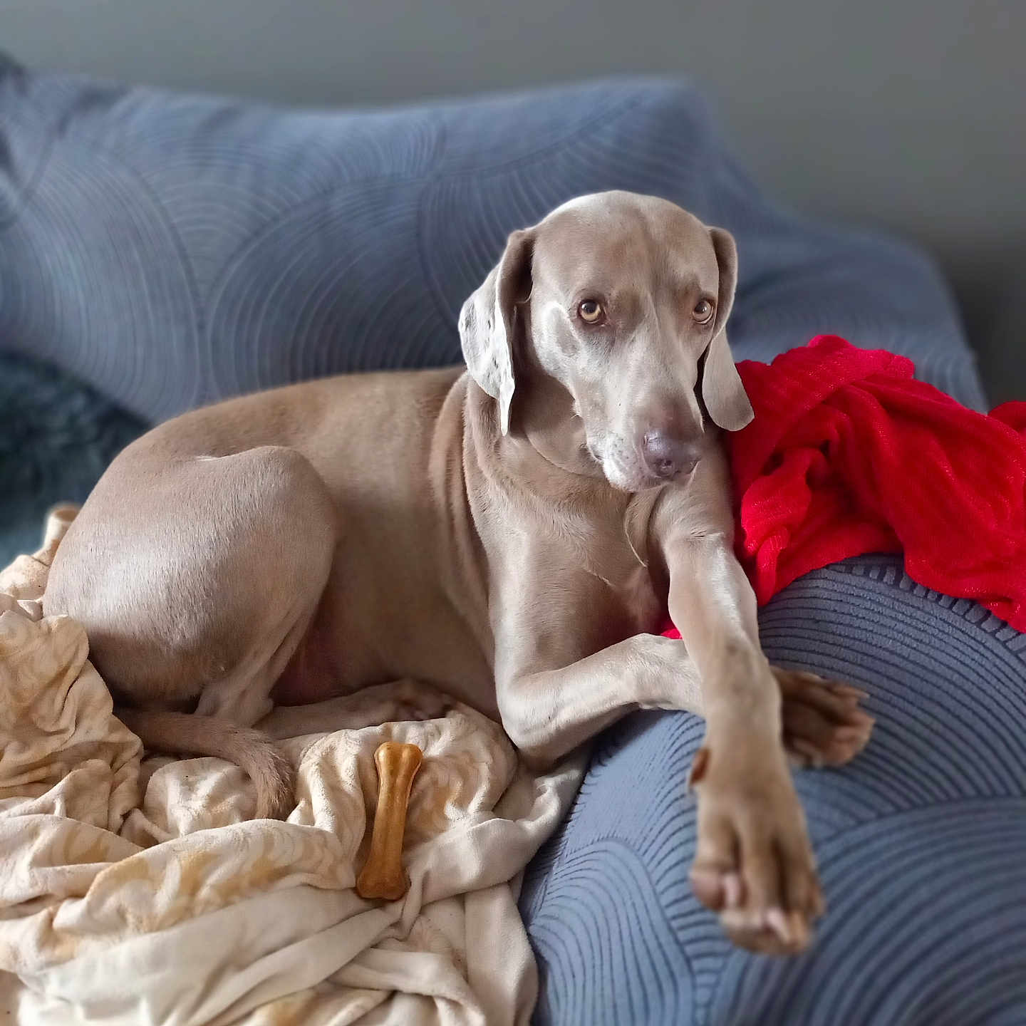 Lena