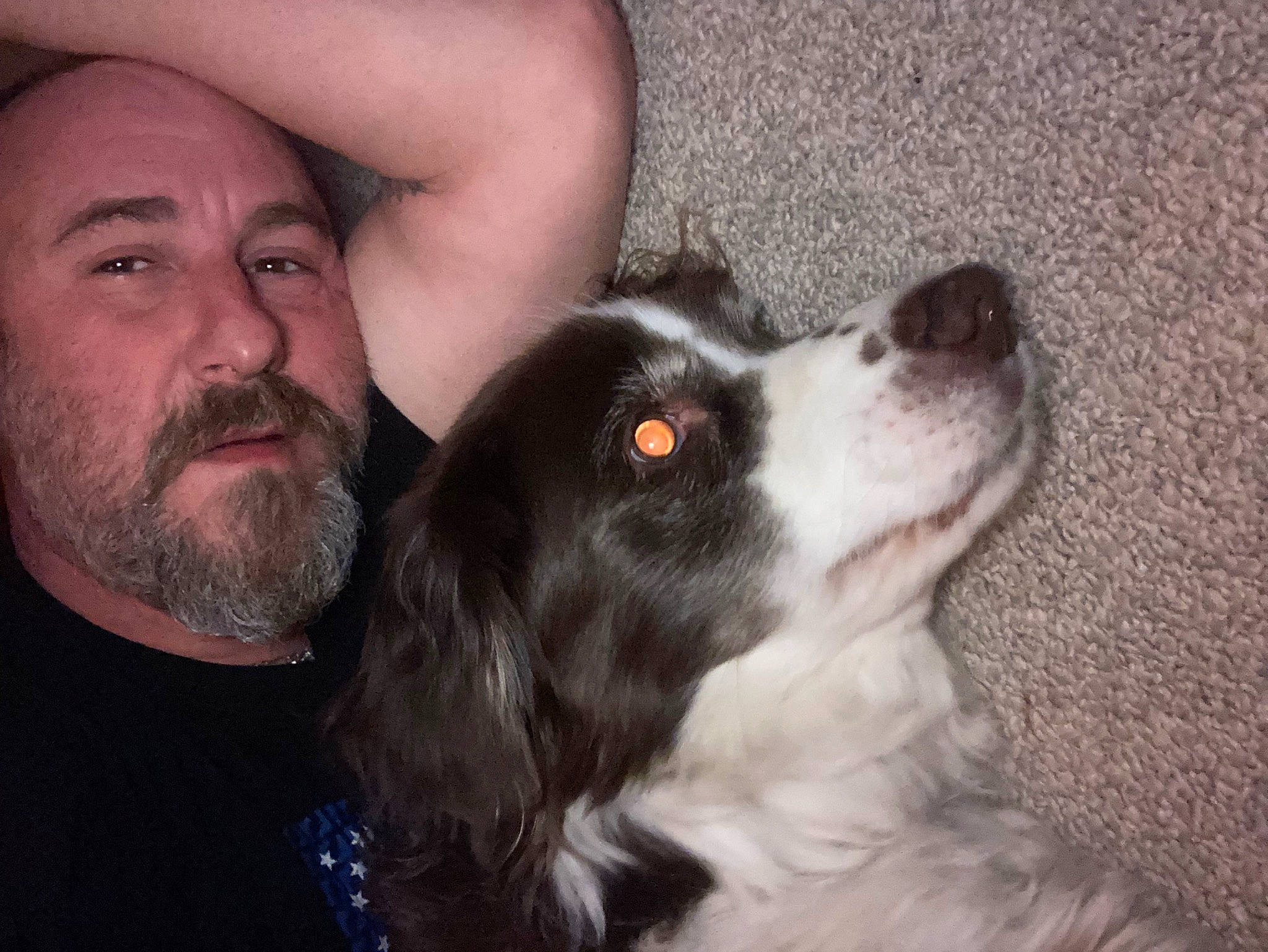 Max is registered to the contest to win money with this photo: beard, border_collie, canidae, carnivore, companion_dog, dog, dog_breed, ear, facial_hair, fur, gesture, happy, herding_dog, nose, snout, spaniel, sporting_group, whiskers, working_animal, working_dog