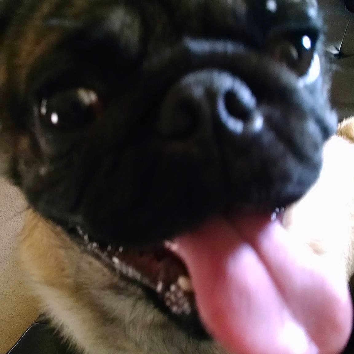 Max joined the competition — help win amazing prizes!