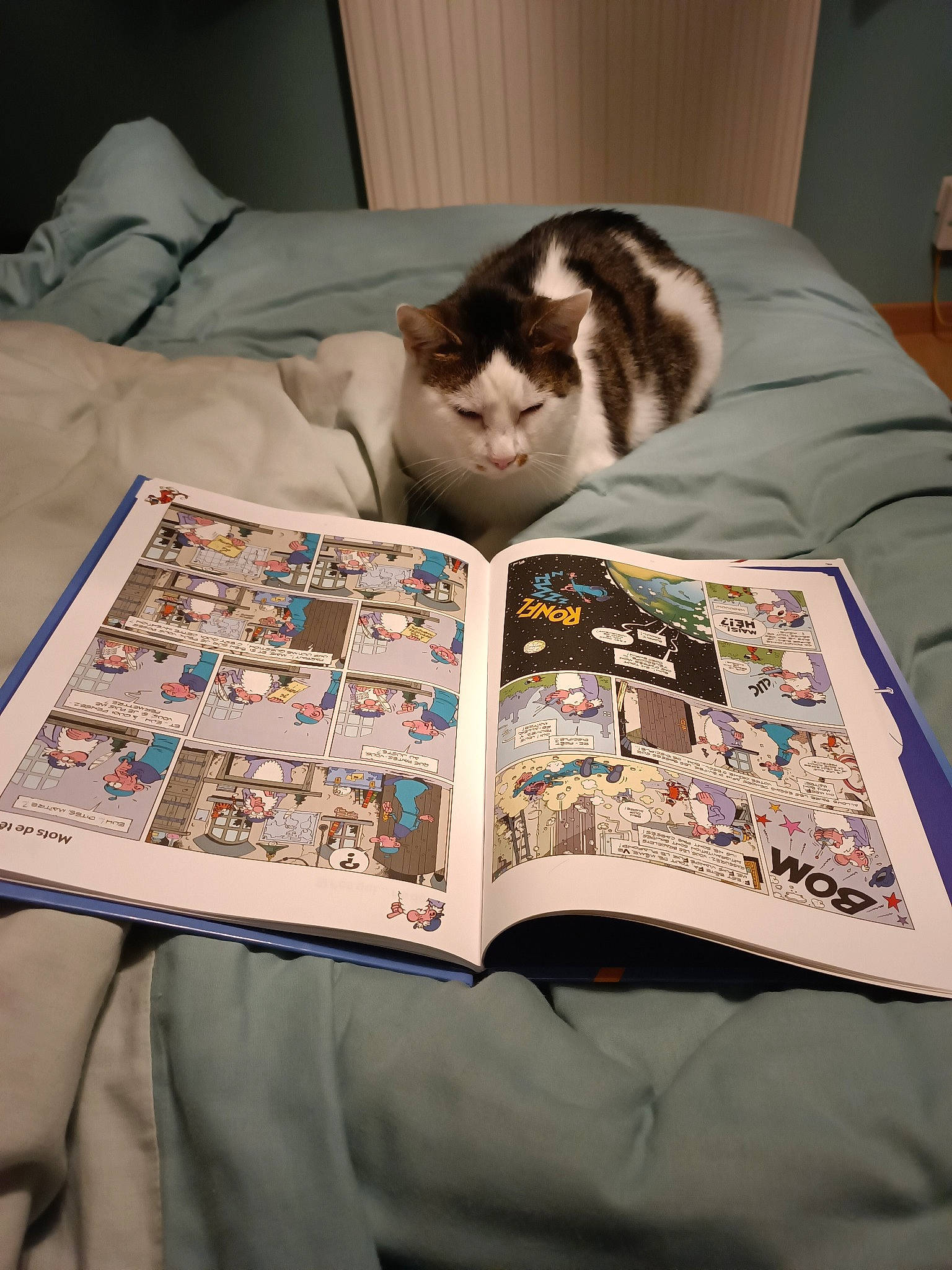 P'Tit Chat Picketts a rejoint le concours — aidez-le/la à gagner de superbes lots ! art, bedding, book, carnivore, cat, comfort, domestic_short_haired_cat, felidae, fiction, flooring, font, fur, linens, pattern, publication, room, small_to_medium_sized_cats, textile, whiskers, wood