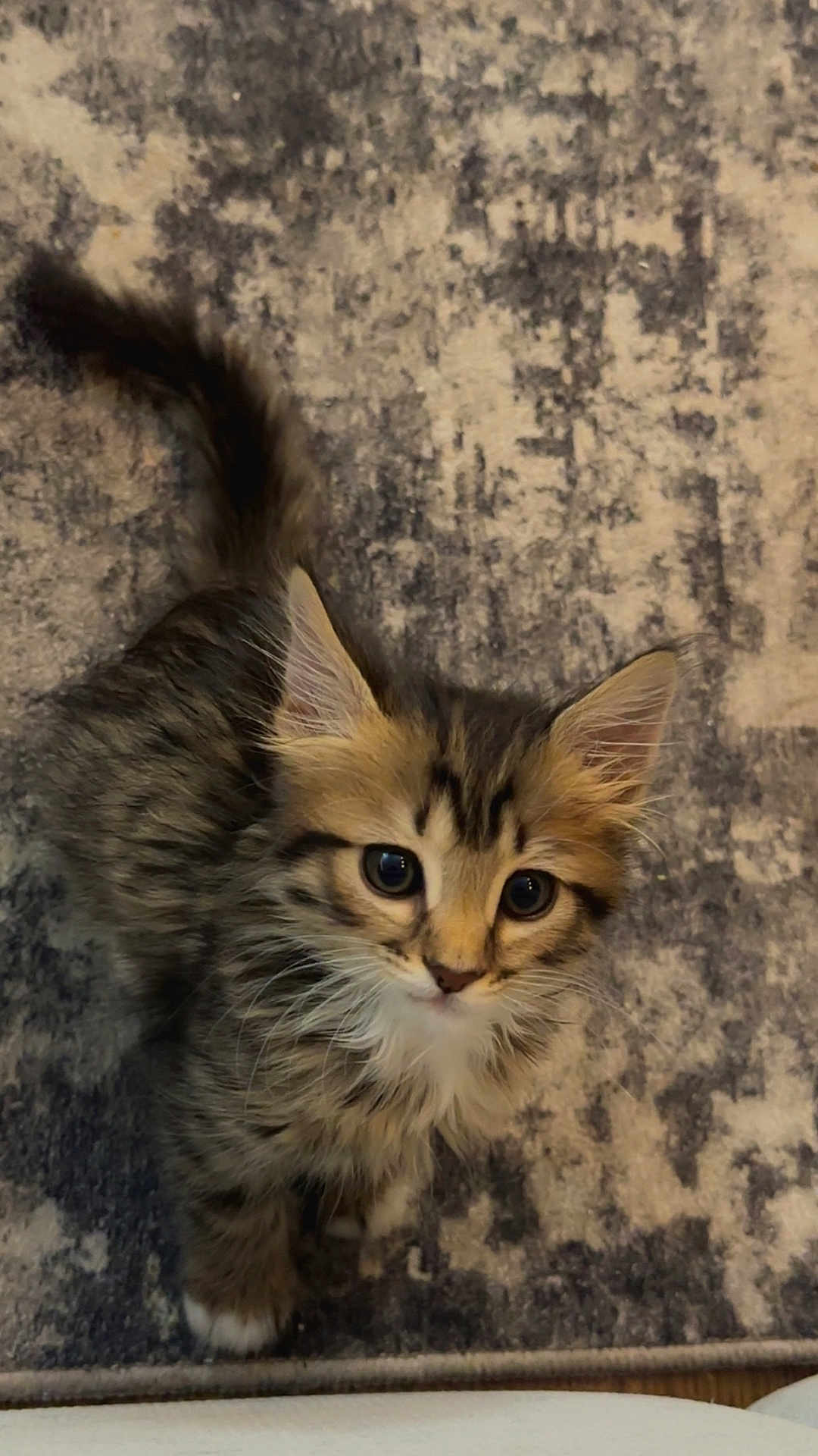 Lucy