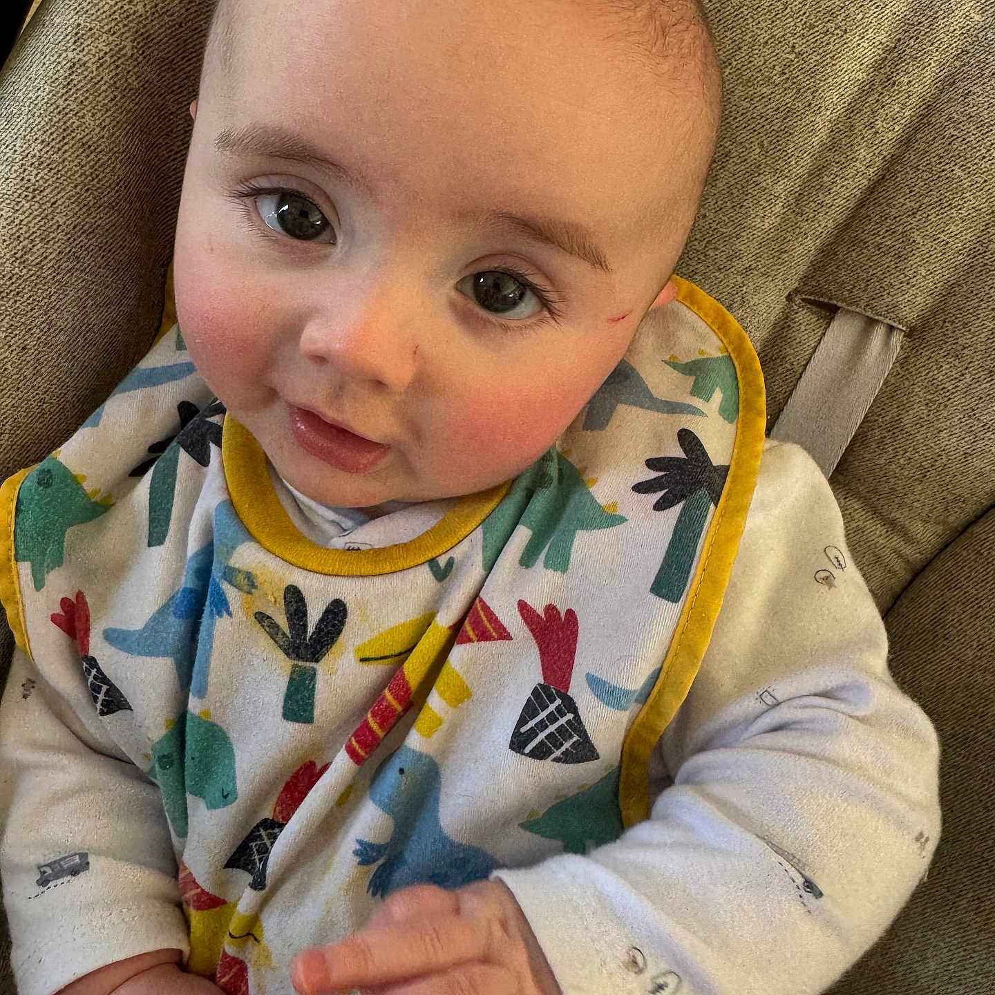 Leland is registered to the contest to win money with this photo: baby, bib, child, close_up, colorful, cozy, curious, cushion, cute, dinosaur_print, eyes, face, hands, indoor, infant, pajamas, portrait, rosy_cheeks, seated, soft_fabric