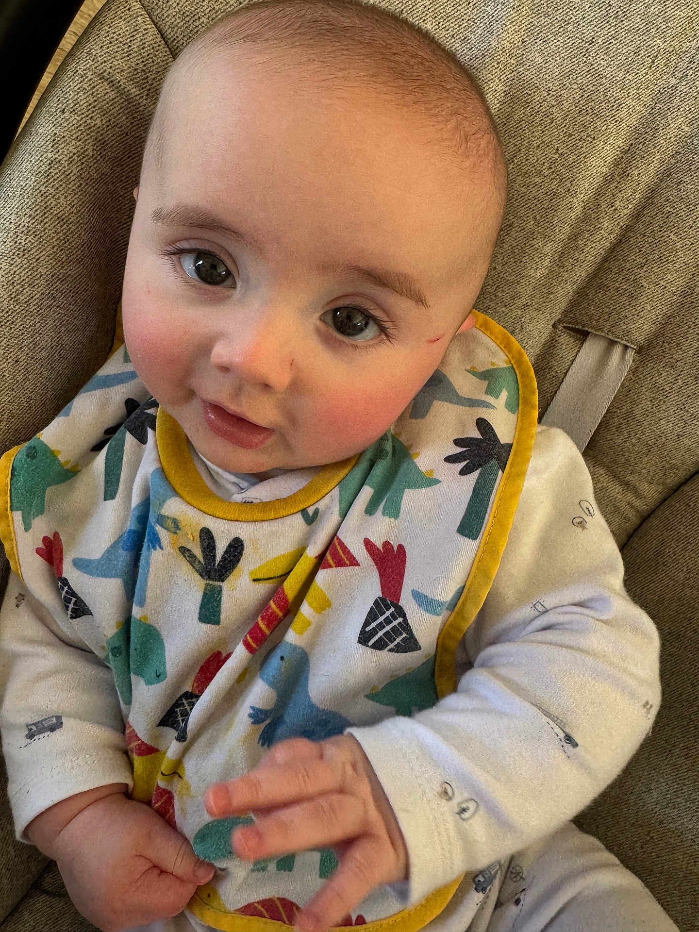 Leland is registered to the contest to win money with this photo: baby, infant, child, close_up, face, eyes, hands, bib, pajamas, dinosaur_print, colorful, soft_fabric, cushion, seated, indoor, cute, portrait, rosy_cheeks, curious, cozy