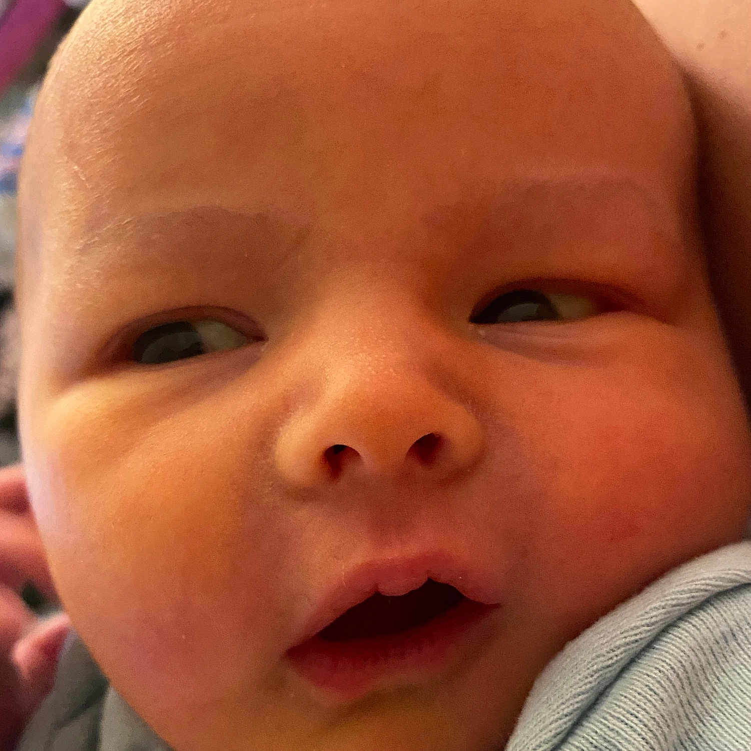 Archer joined the competition — help win amazing prizes! baby, bodypart, clothing, face, finger, hand, hat, head, mouth, newborn, person, photography, portrait, selfie, skin, towel