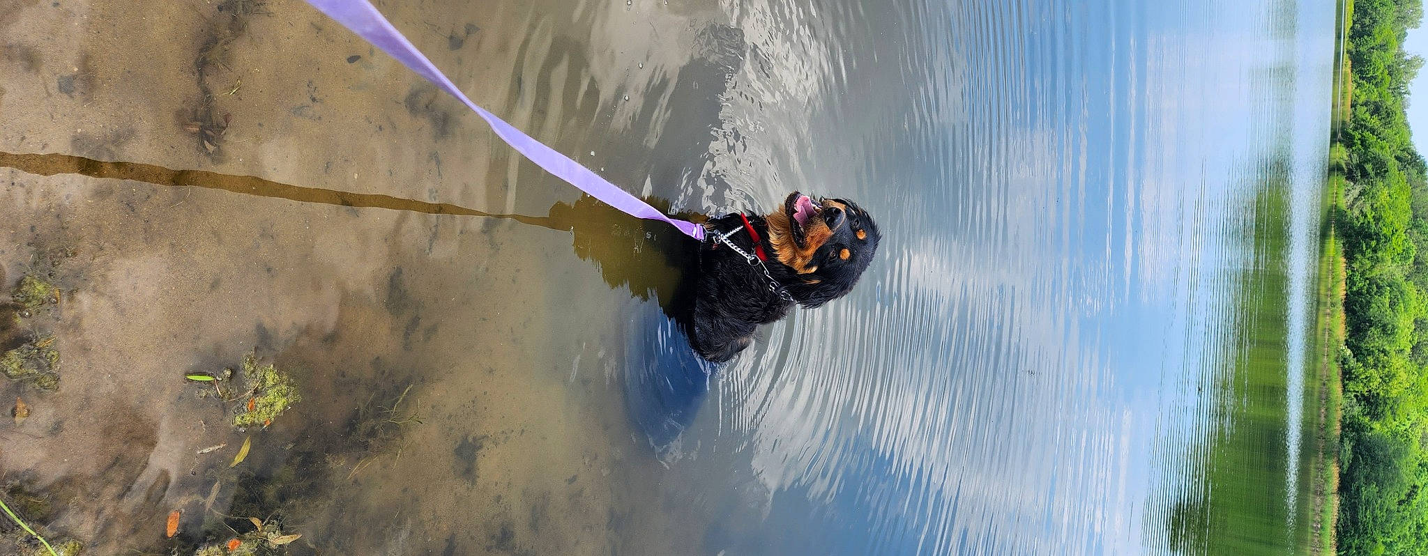 Cooper is registered to the contest to win money with this photo: adventure, extreme_sport, helmet, lake, leisure, personal_protective_equipment, recreation, rope, slope, sports, stunt, stunt_performer, surface_water_sports, surfing_equipment, towed_water_sport, wakeboarding, water, water_sport, wind, wind_wave