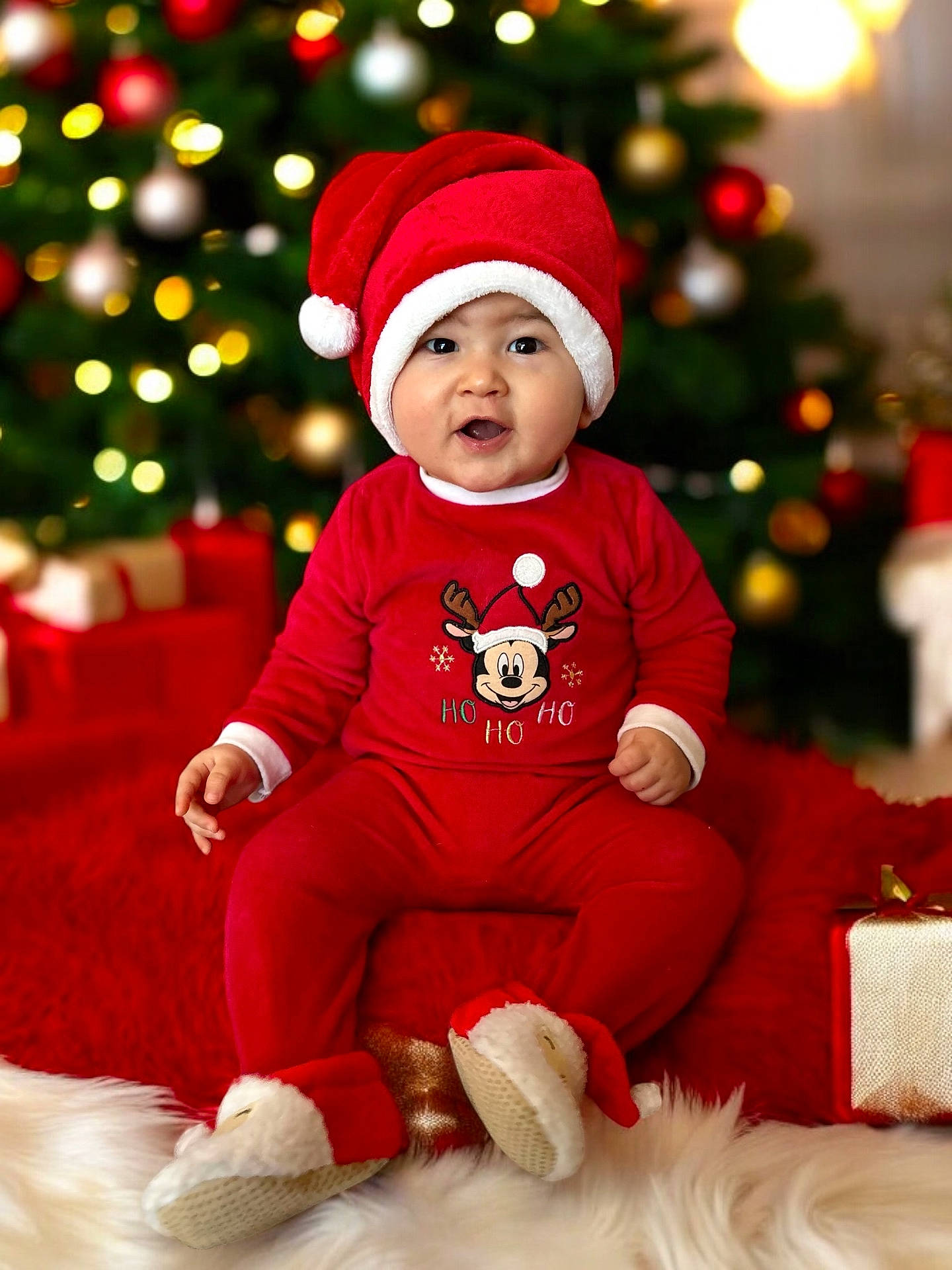 animal, baby, canine, cap, christmas, clothing, dog, face, festival, footwear, happy, hat, head, lighting, person, pet, photography, portrait, shoe, sitting