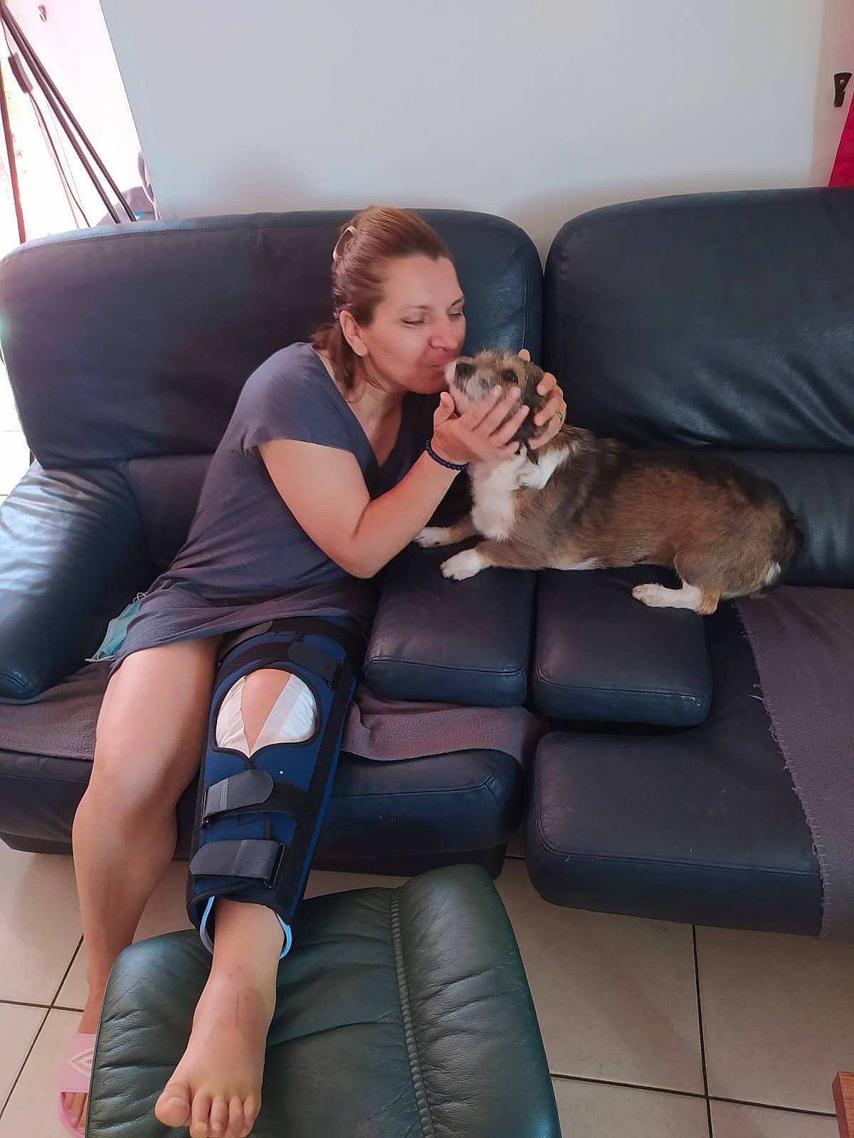 Maya participe au concours pour gagner de l'argent avec cette photo : canidae, comfort, companion_dog, couch, fawn, foot, furniture, guard_dog, lap, leg, sitting, sole, sporting_group, thigh