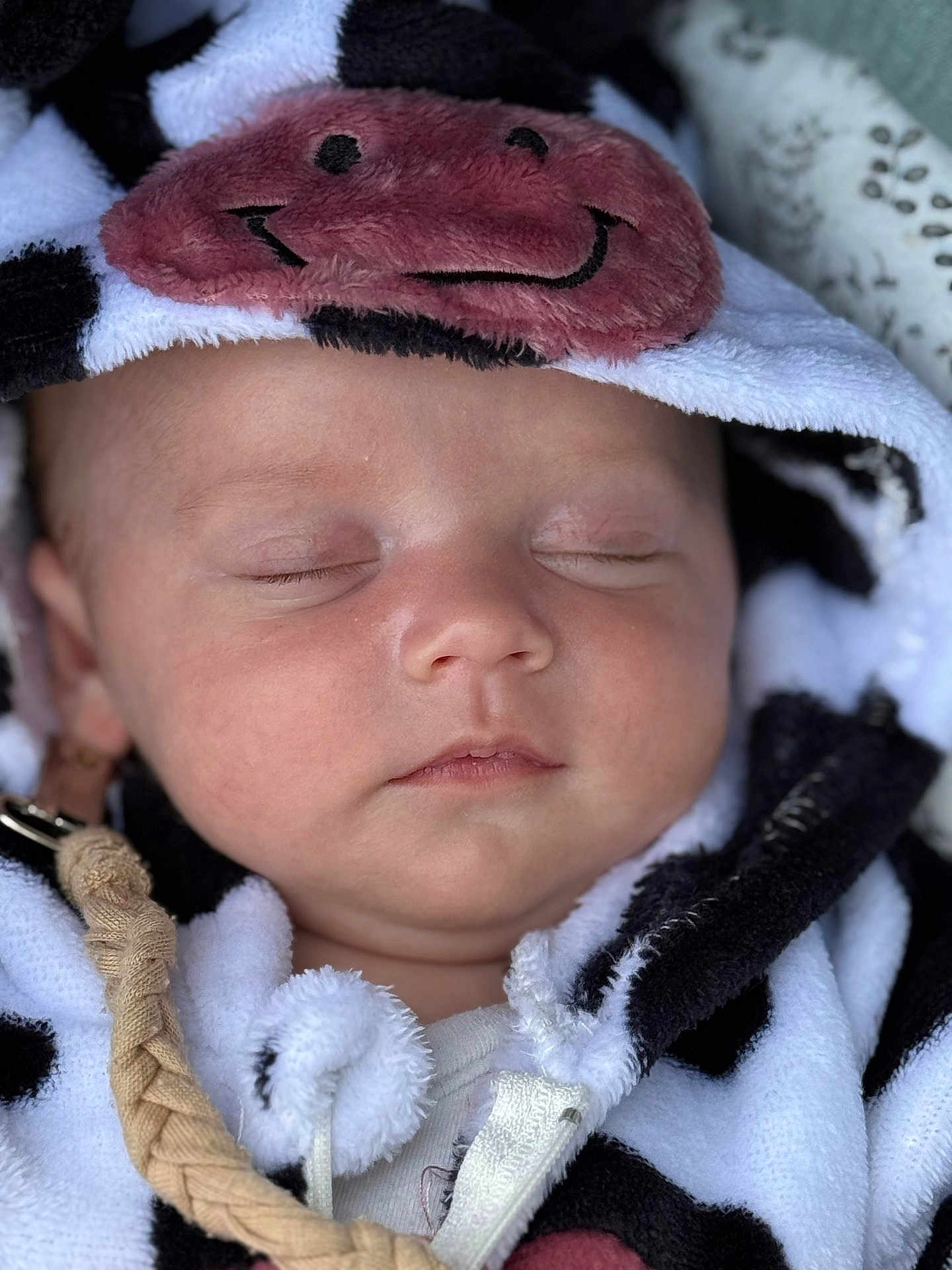 Alix a rejoint le concours — aidez-le/la à gagner de superbes lots ! baby, sleeping, hood, blanket, cow_pattern, face, closeup, soft, cute, infant, child, peaceful, clothing, portrait, young, adorable, warm, cozy, fabric, resting