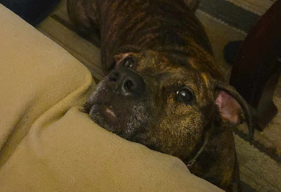 Mac