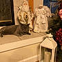 angel_figurine, cat, cozy, decorative, festive, figurine, flower_arrangement, gray_cat, greenery, holiday, holiday_decor, indoor, lantern, pet, pink_flowers, red_flowers, relaxed_cat, santa_figurine, tile_floor, window