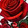 Mariam G.