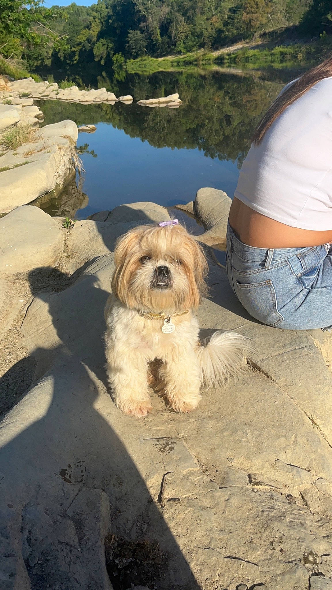 Raven participe au concours pour gagner de l'argent avec cette photo : canidae, carnivore, companion_dog, dog, dog_breed, fawn, grass, human_leg, landscape, plant, rock, sitting, small_terrier, soil, sporting_group, terrier, thigh, toy_dog, water, working_animal