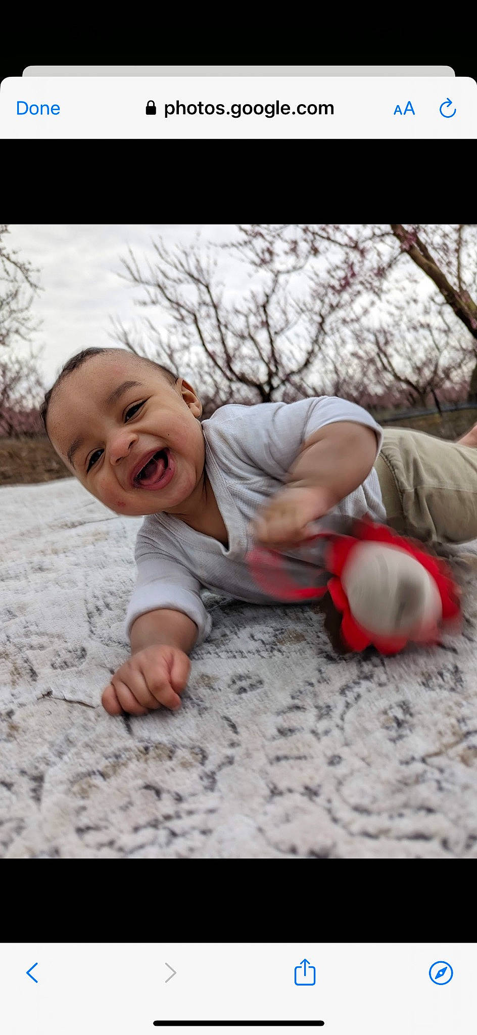 Braidyn is registered to the contest to win money with this photo: baby, baby_toddler_clothing, ball, child, crawling, flash_photography, flooring, football, fun, grass, happy, people_in_nature, person, play, portrait_photography, sitting, smile, soil, toddler, tree
