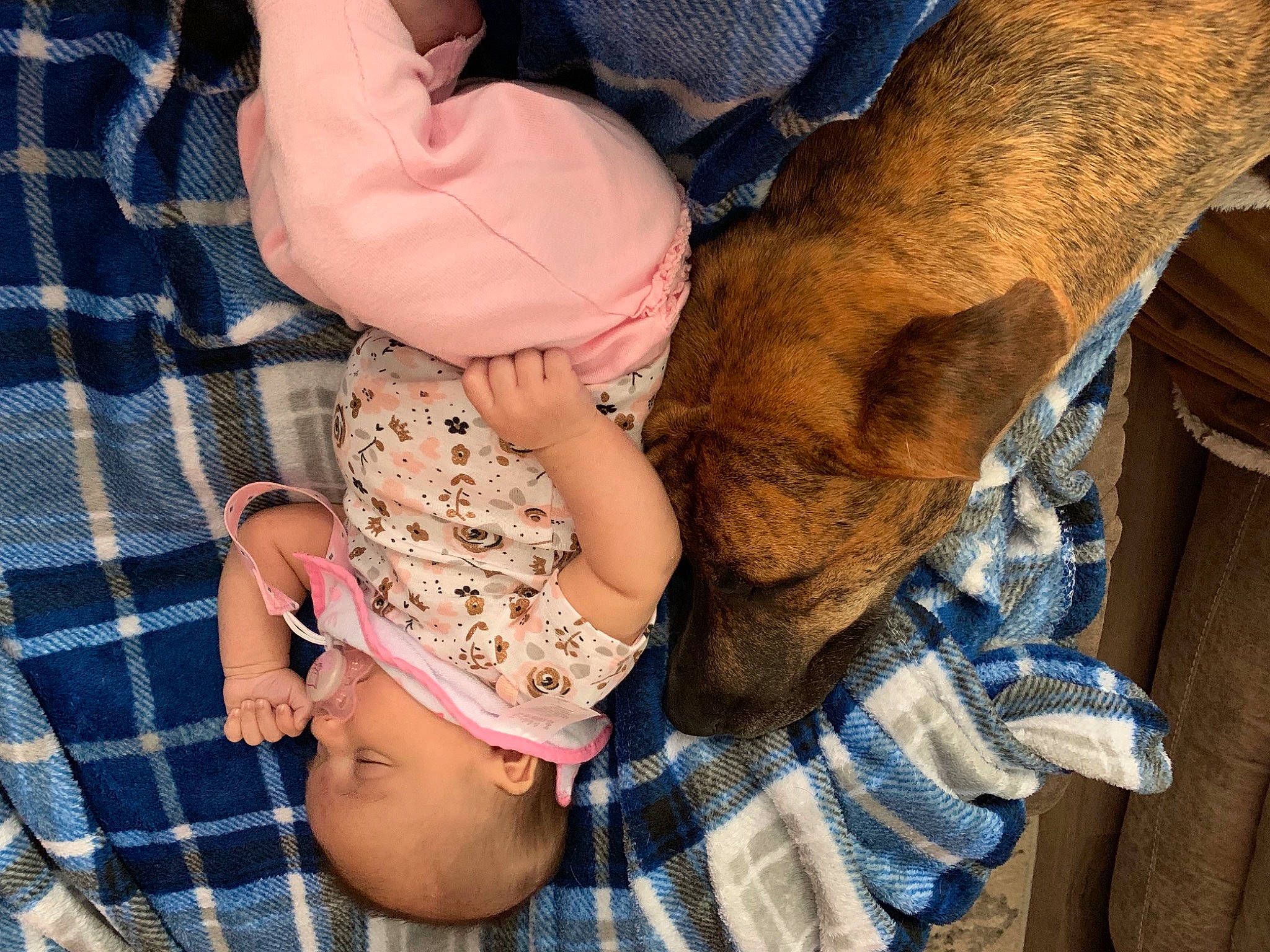 Kaos joined the competition — help win amazing prizes! elbow, finger, gesture, hand, headgear, human_body, joint, leg, nail, plant, skin, stomach, sunglasses, textile, thigh, thumb, tree, trunk, waist, wrist