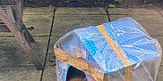 Maya is registered to the contest to win money with this photo: cat, cardboard_box, plastic_cover, tape, outdoor, patio, stone_floor, wooden_chair, blanket, pink, star_pattern, furry, animal, cozy, makeshift_house, garden, shelter, pet, resting, hidden