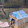 cat, cardboard_box, plastic_cover, tape, outdoor, patio, stone_floor, wooden_chair, blanket, pink, star_pattern, furry, animal, cozy, makeshift_house, garden, shelter, pet, resting, hidden
