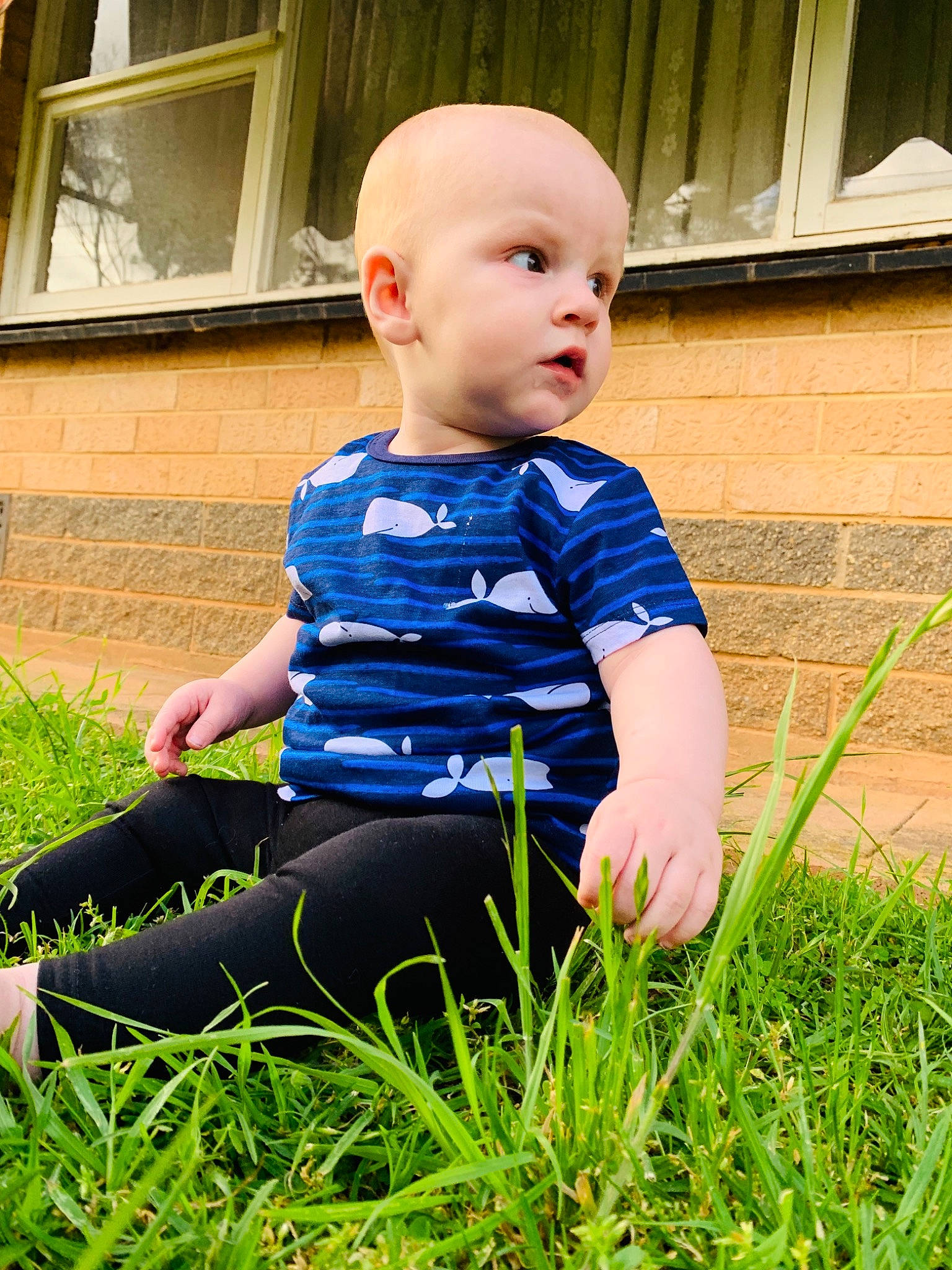 Korbin is registered to the contest to win money with this photo: baby, baby_toddler_clothing, blue, child, electric_blue, garden, grass, grass_family, lawn, male, person, plant, sitting, smile, summer, toddler, yard