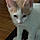 George
