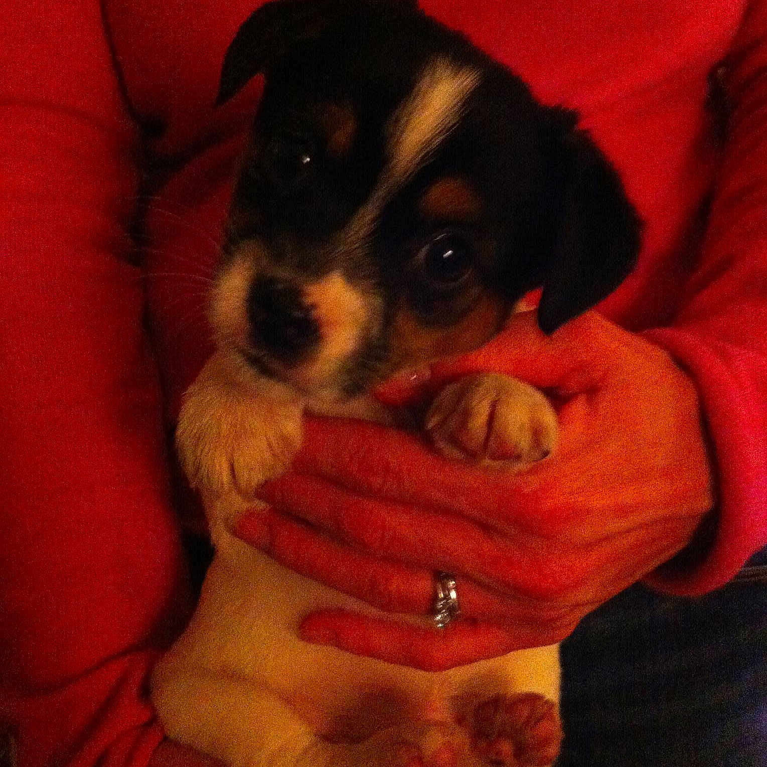 Bella is registered to the contest to win money with this photo: