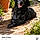 Izzie