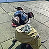 dog, black_dog, goggles, jacket, outdoor, sunny, happy, pet, canine, sitting, tongue_out, ears_up, pavement, playful, smiling, cute, adventure, animal, protective_gear, funny