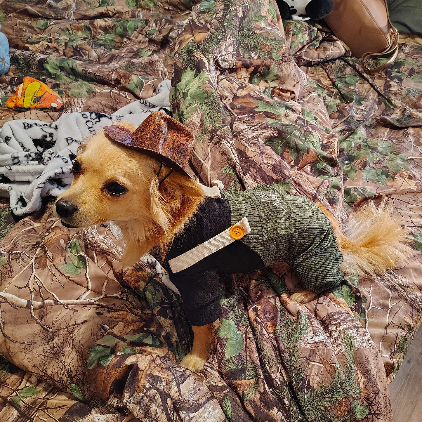 Charlie Bear Miller