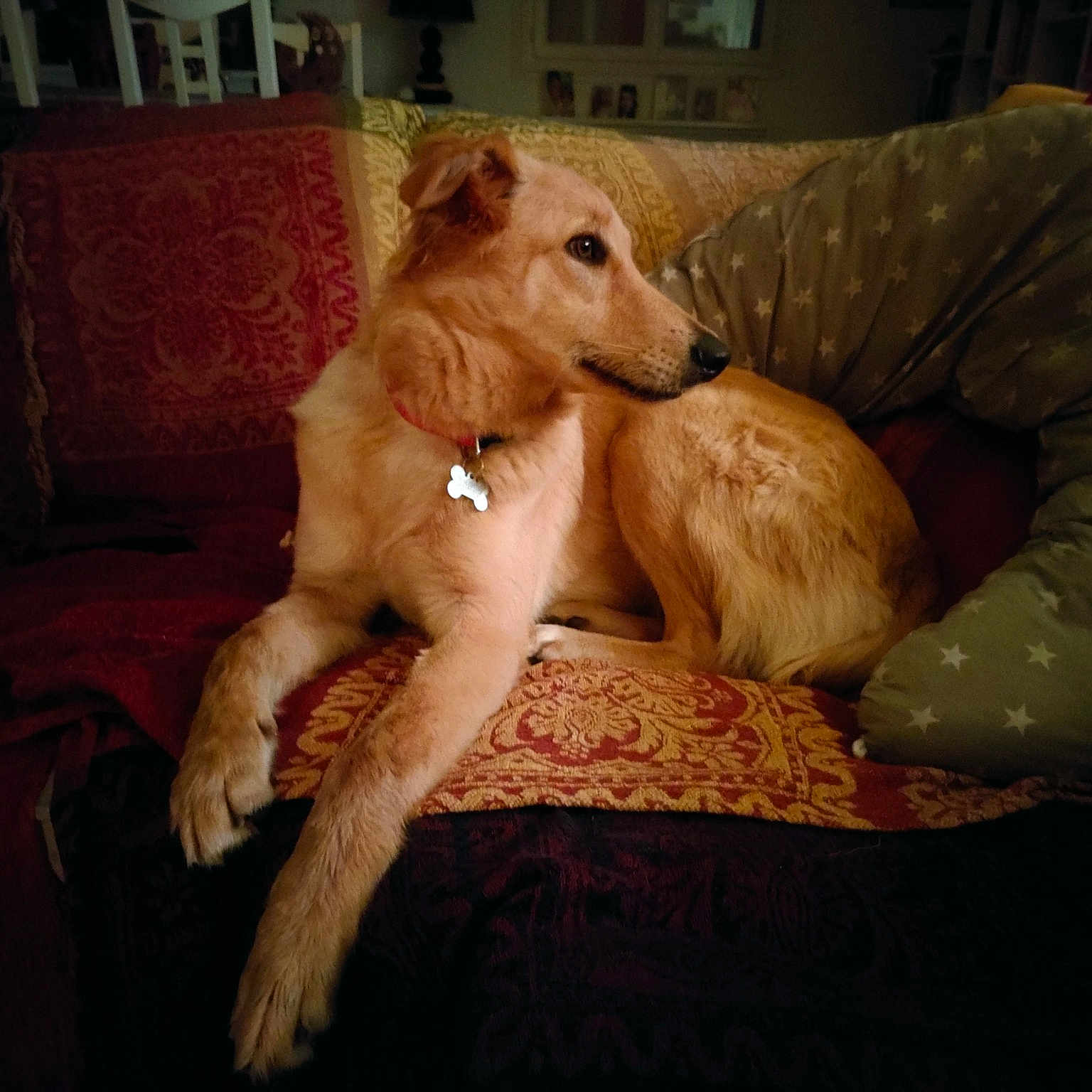 Choubaka