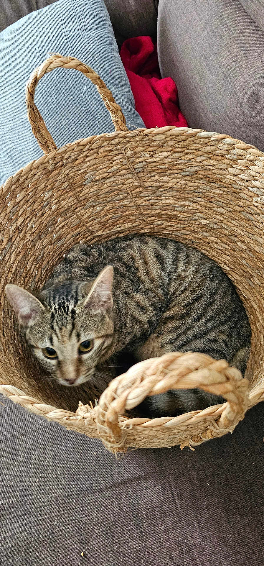 Leïa