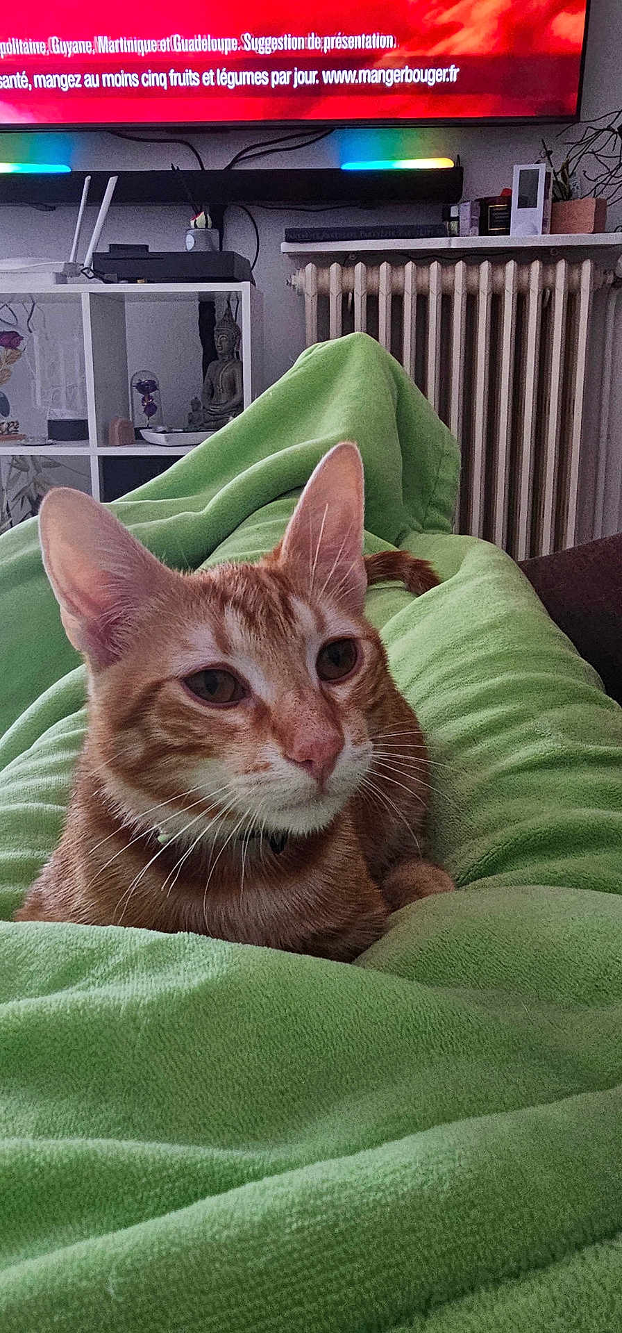 Grogu